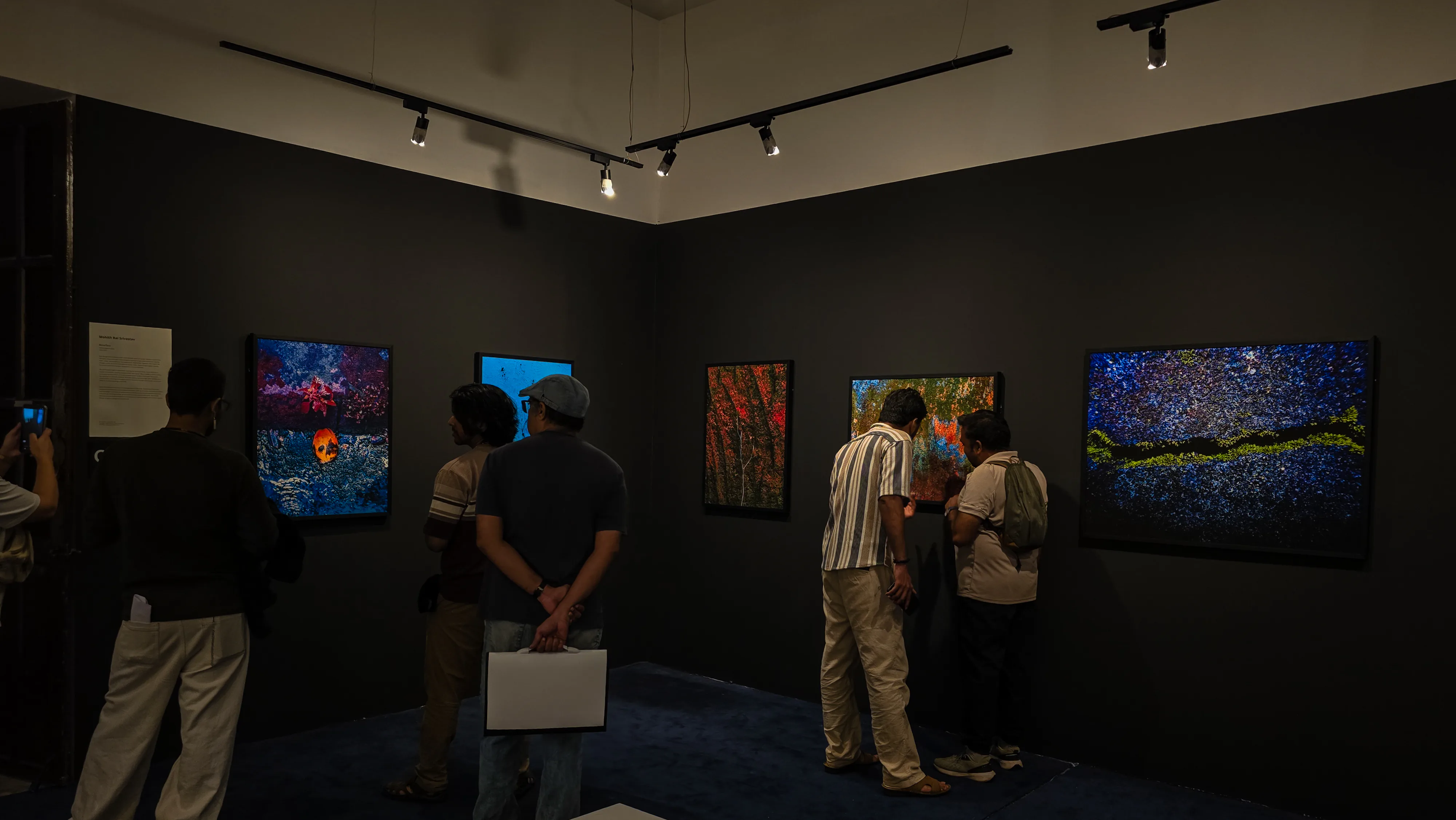 Festival atmosphere — GOAF 2026