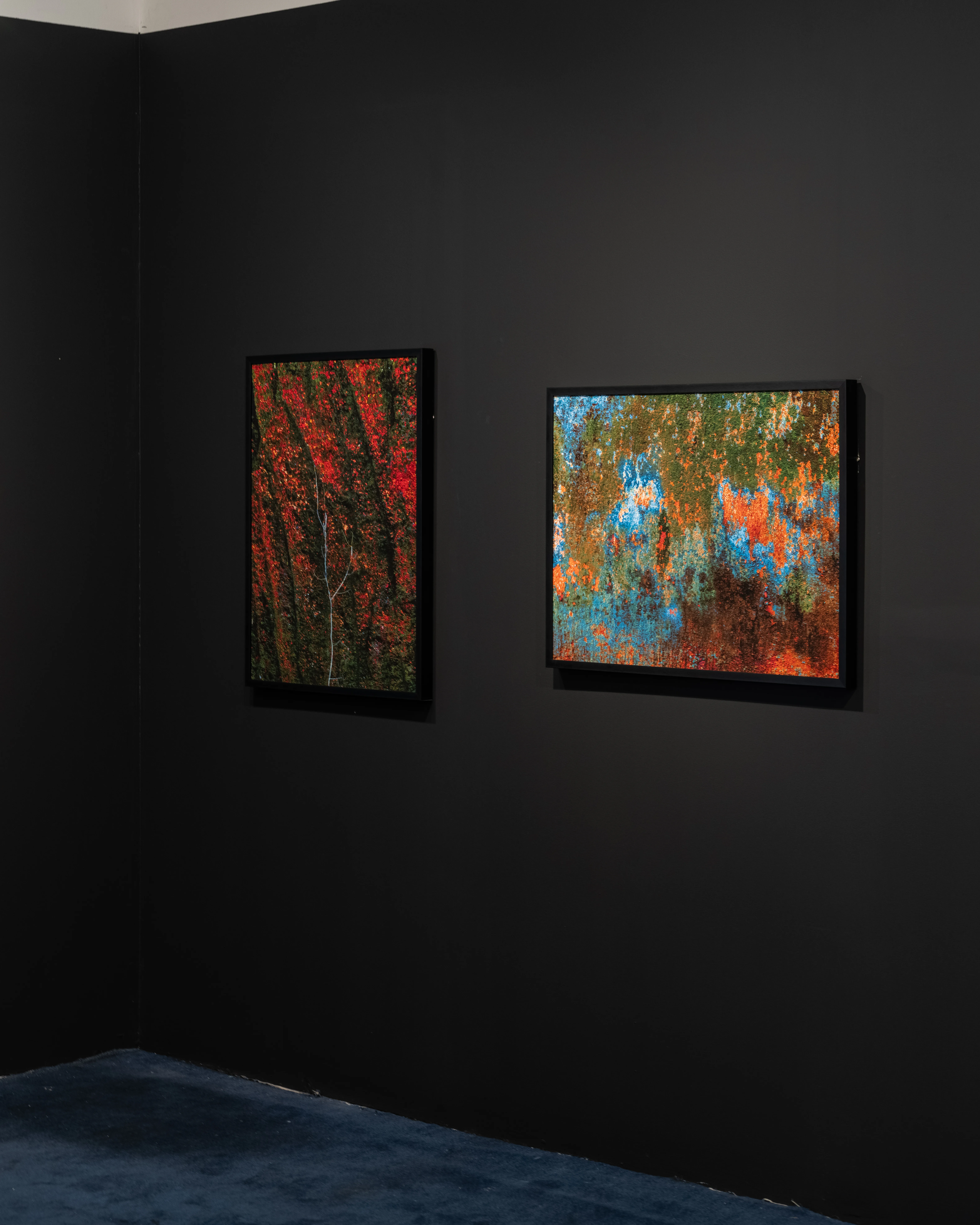 Exhibition view — GOAF 2026
